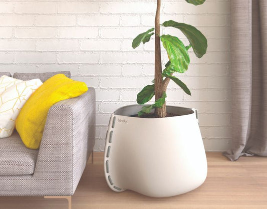 View of the Blinde Design Stitch 125 concrete planter in the colour bone next to a sofa