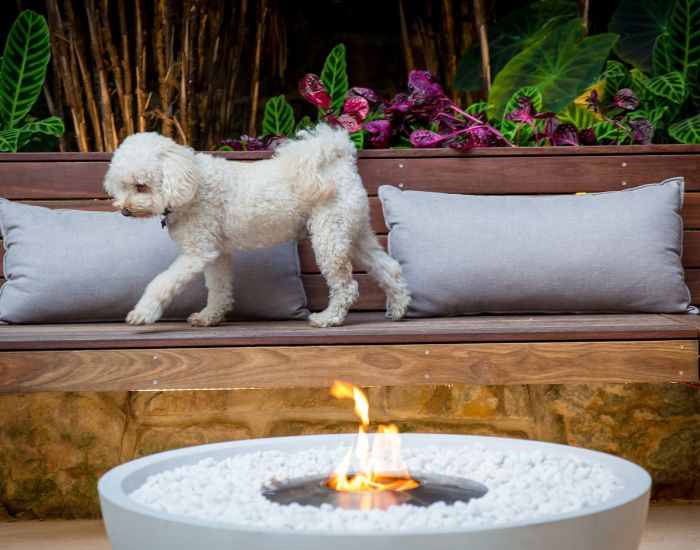Close up view of the EcoSmart Fire Mix 850 Bioethanol Fire Pit Bowl in the colour bone next to a seating area and dog